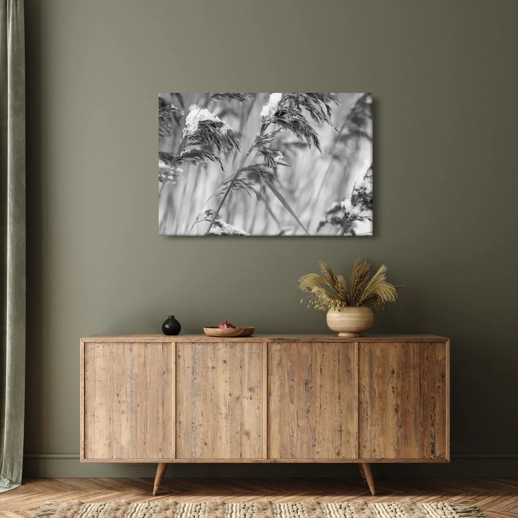 Tablou - Tei,alb-negru (90x60 cm)