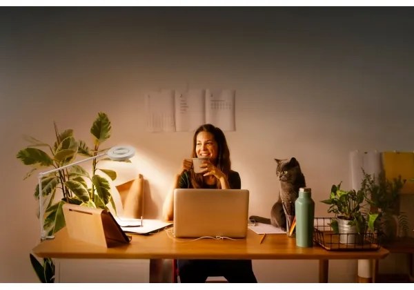 Lampă LED dimabilă cu clemă SUN@HOME LED/15W/230V CRI 95 Wi-Fi Ledvance