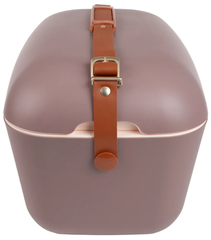Polarbox Cutie de răcire Classic Gold 20 l, maro, 20 l