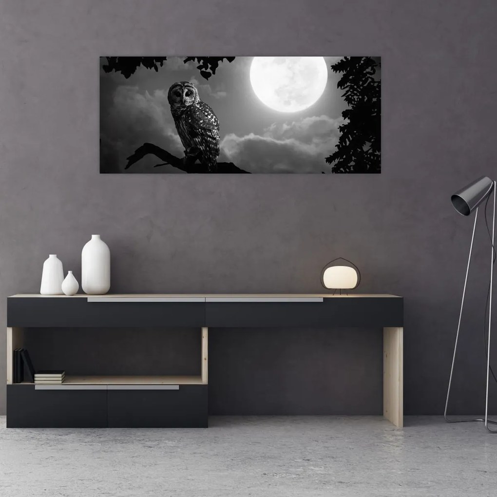 Tablou - Bufniță de noapte, alb și negru (120x50 cm)