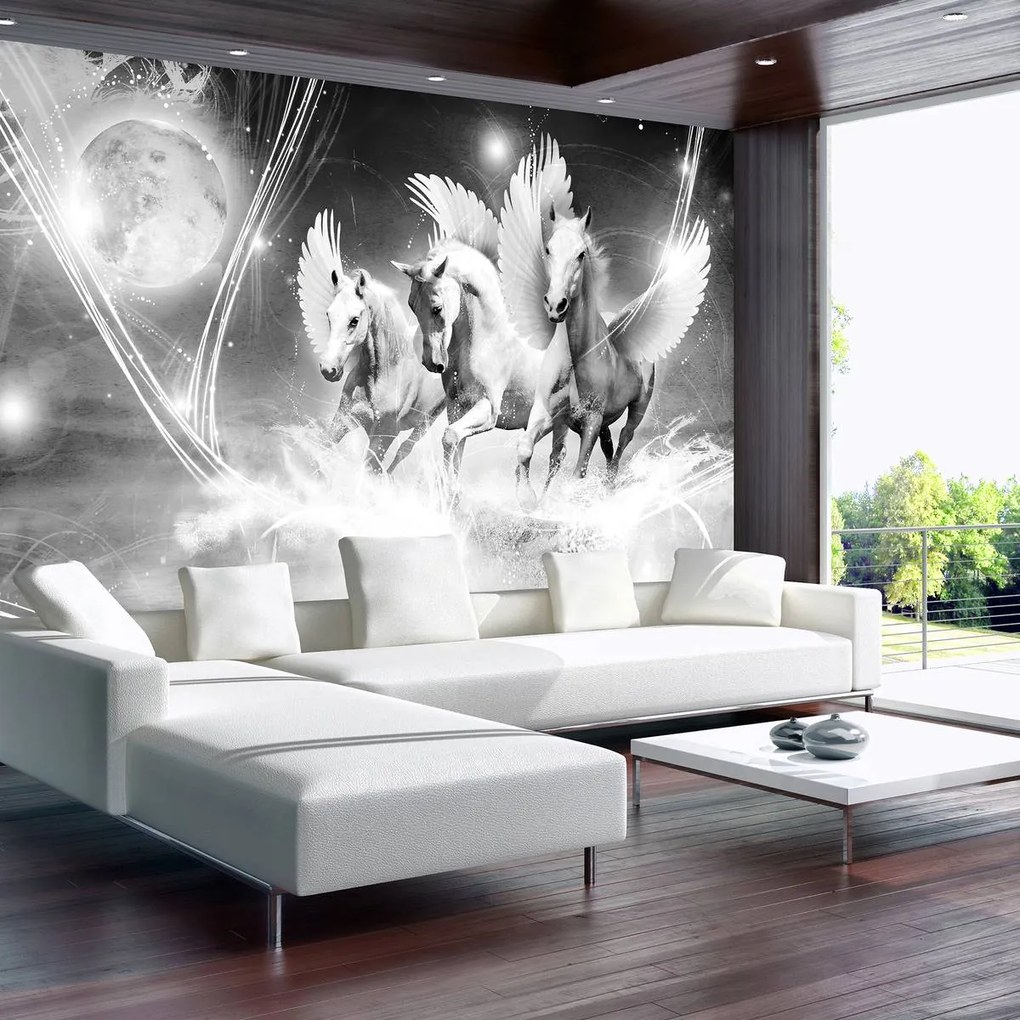 Fototapet - Cai (152,5x104 cm)