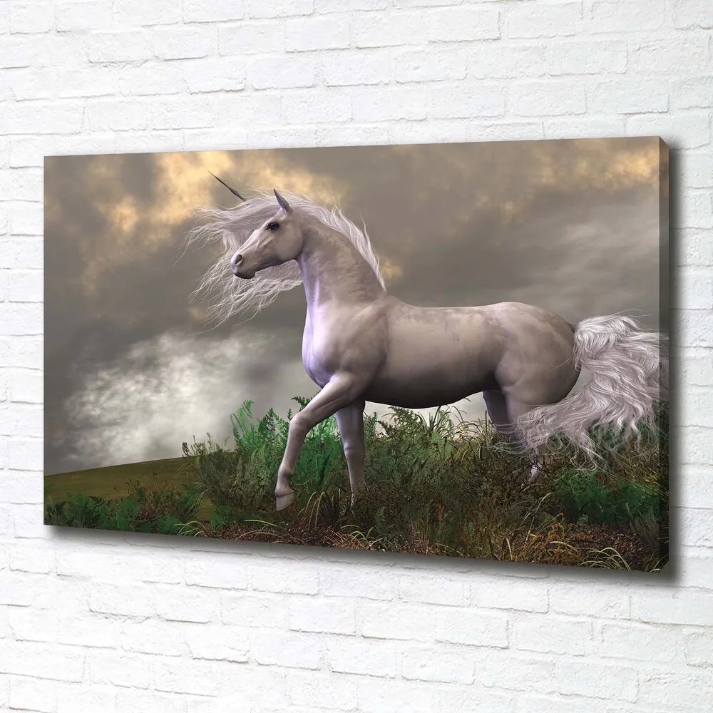 Tablou canvas Unicorn gri