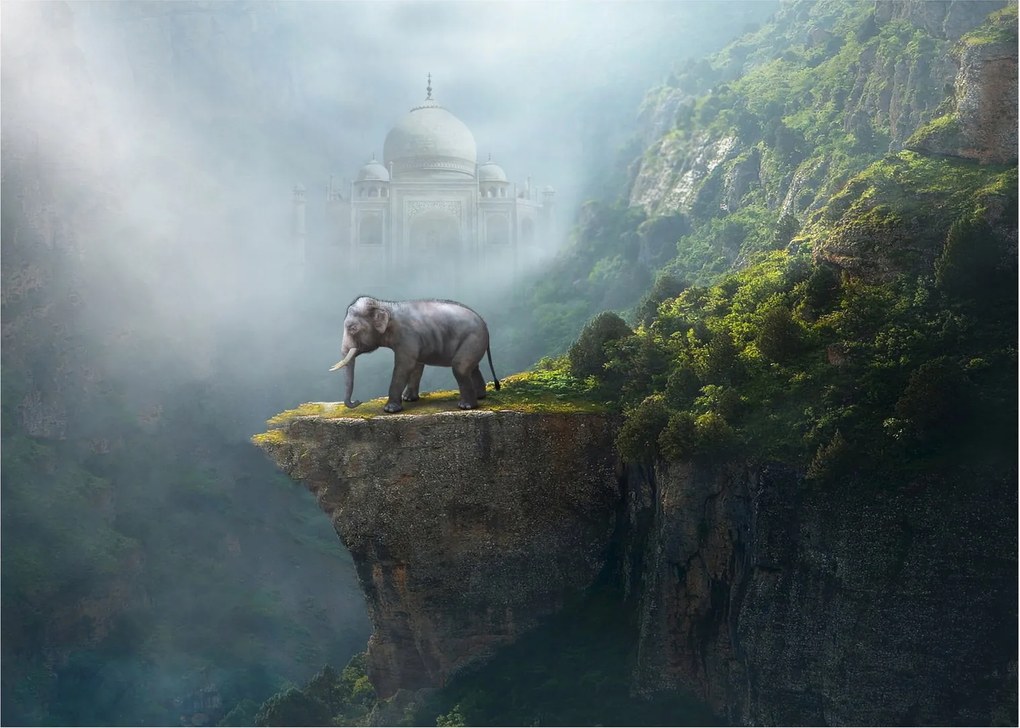 Tablou pe sticlă - Elefant în vârful Taj Mahalului (70x50 cm)