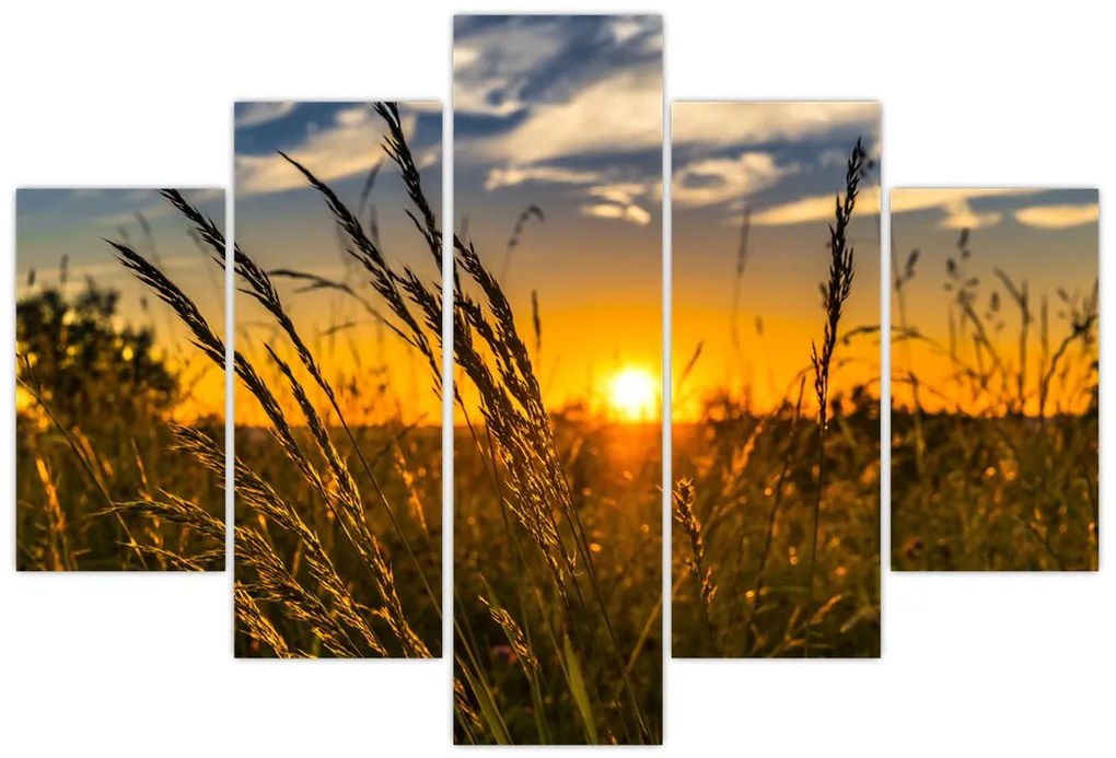 Tablou cu câmp în apus de soare (150x105 cm)