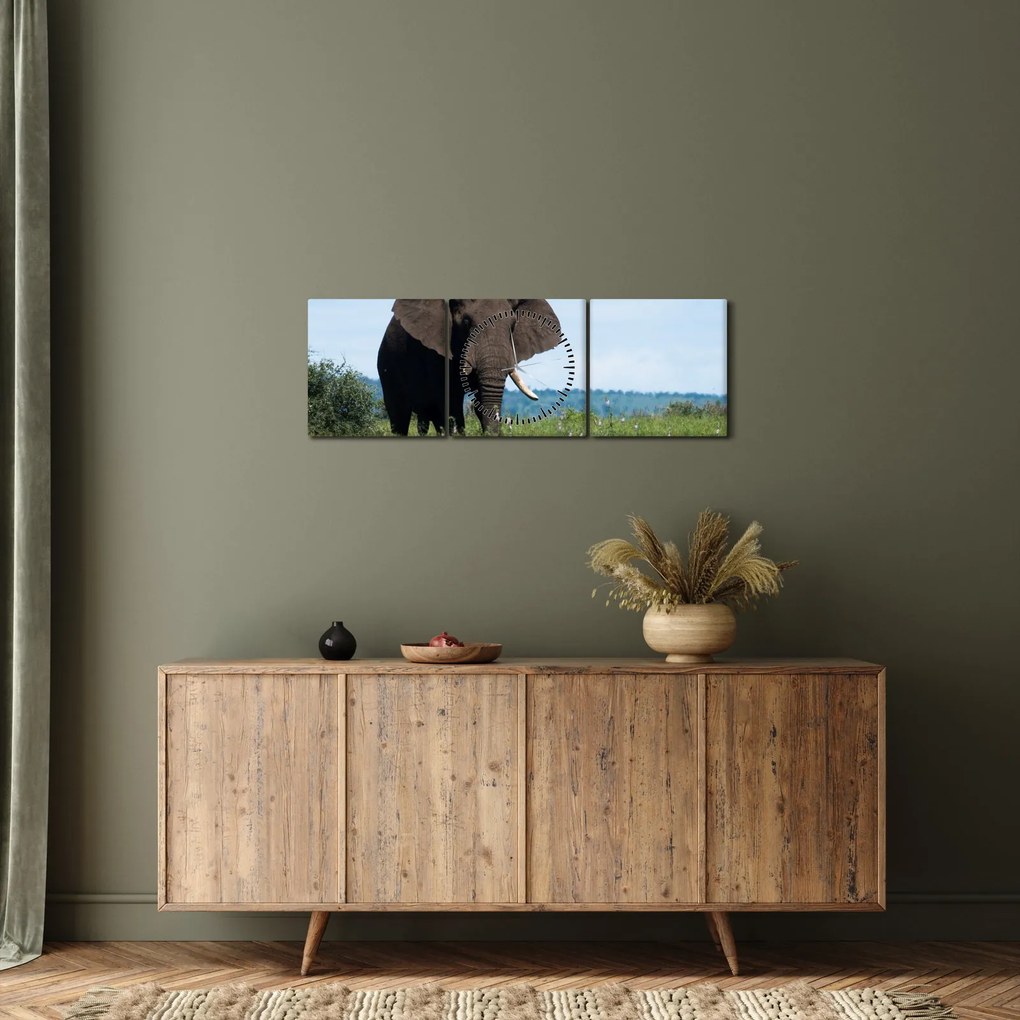 Tablou cu elefant (cu ceas) (90x30 cm)