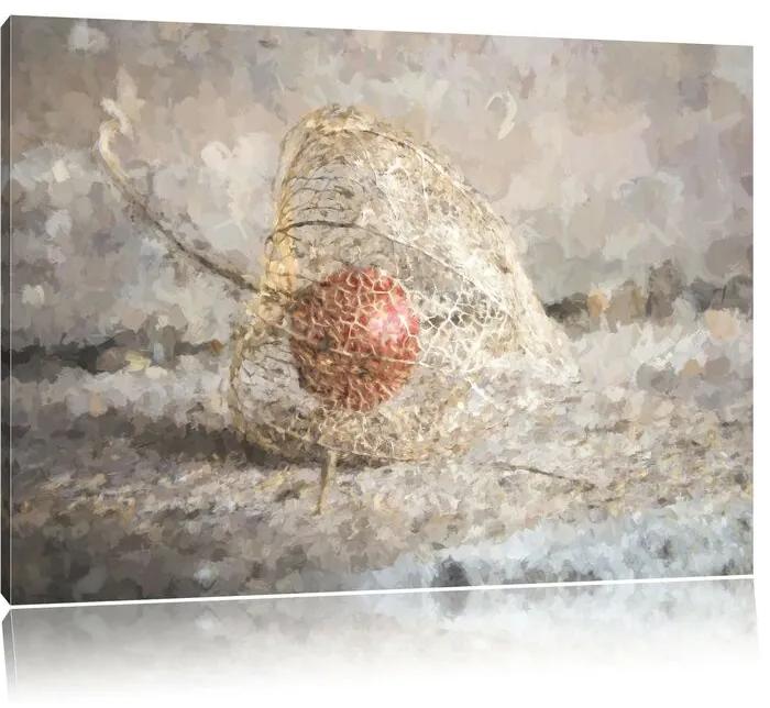Tablou Physalis, gri, 40 x 60 cm
