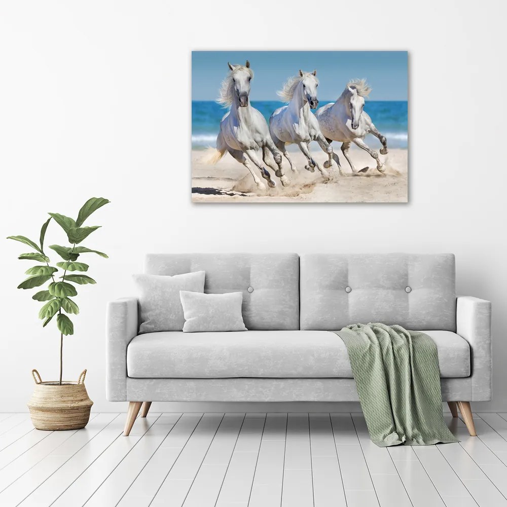Imprimare tablou canvas White beach horse