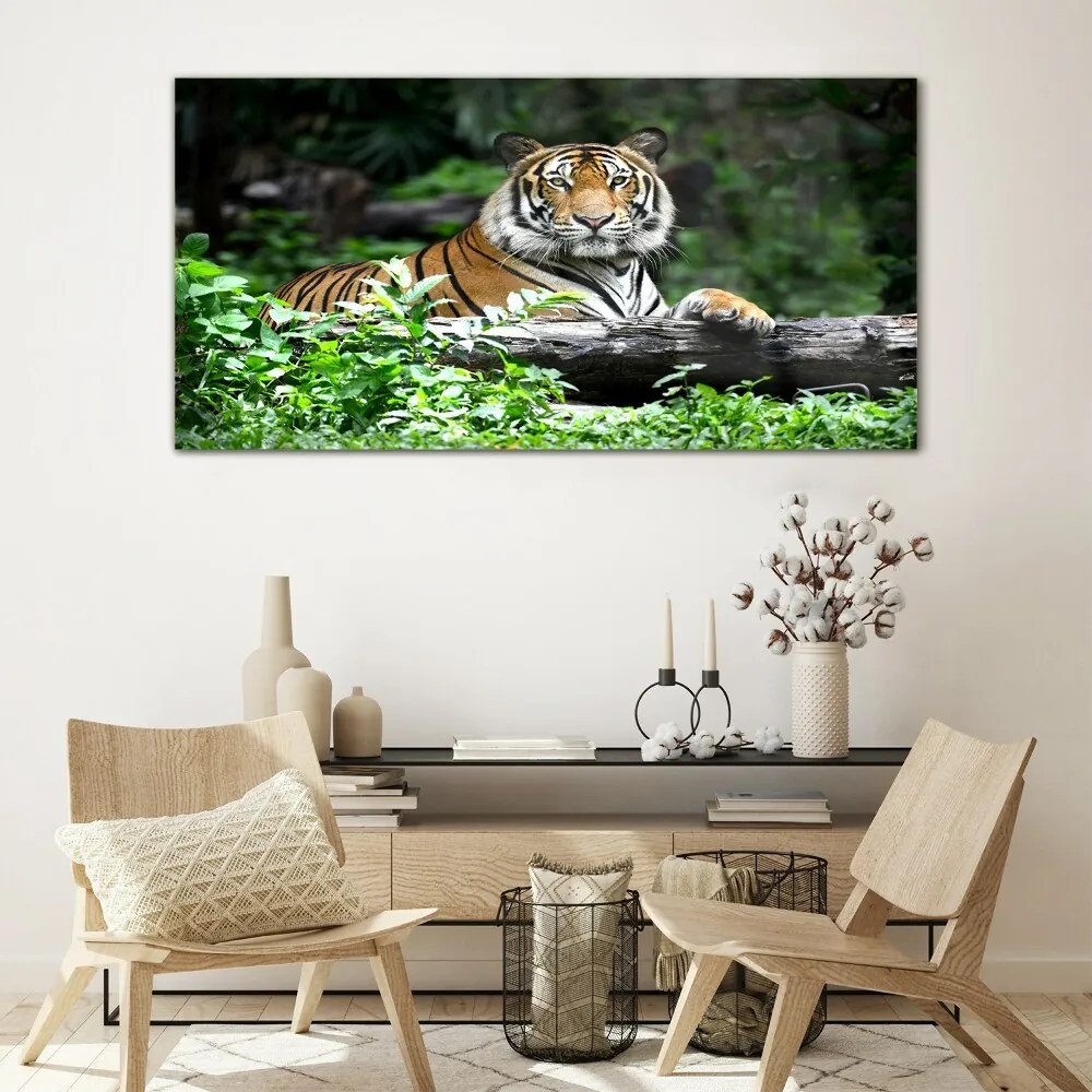 Tablou din sticla Forest Animal Cat Tiger
