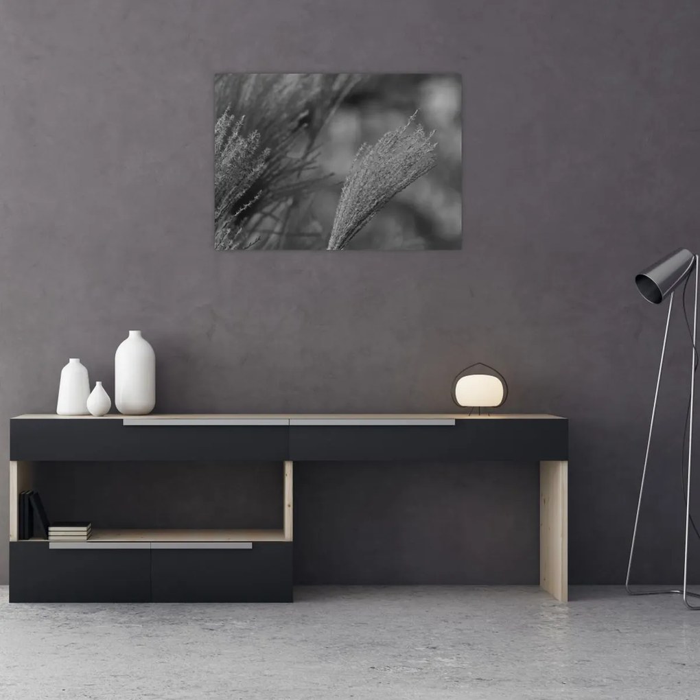 Tablou pe sticlă - Iarbă de pampas uscată (70x50 cm)