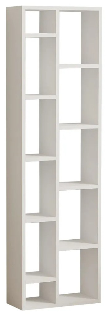 Biblioteca Tomi White