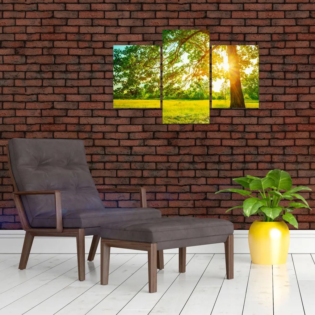 Tablou - Pădurea însorită (90x60 cm)