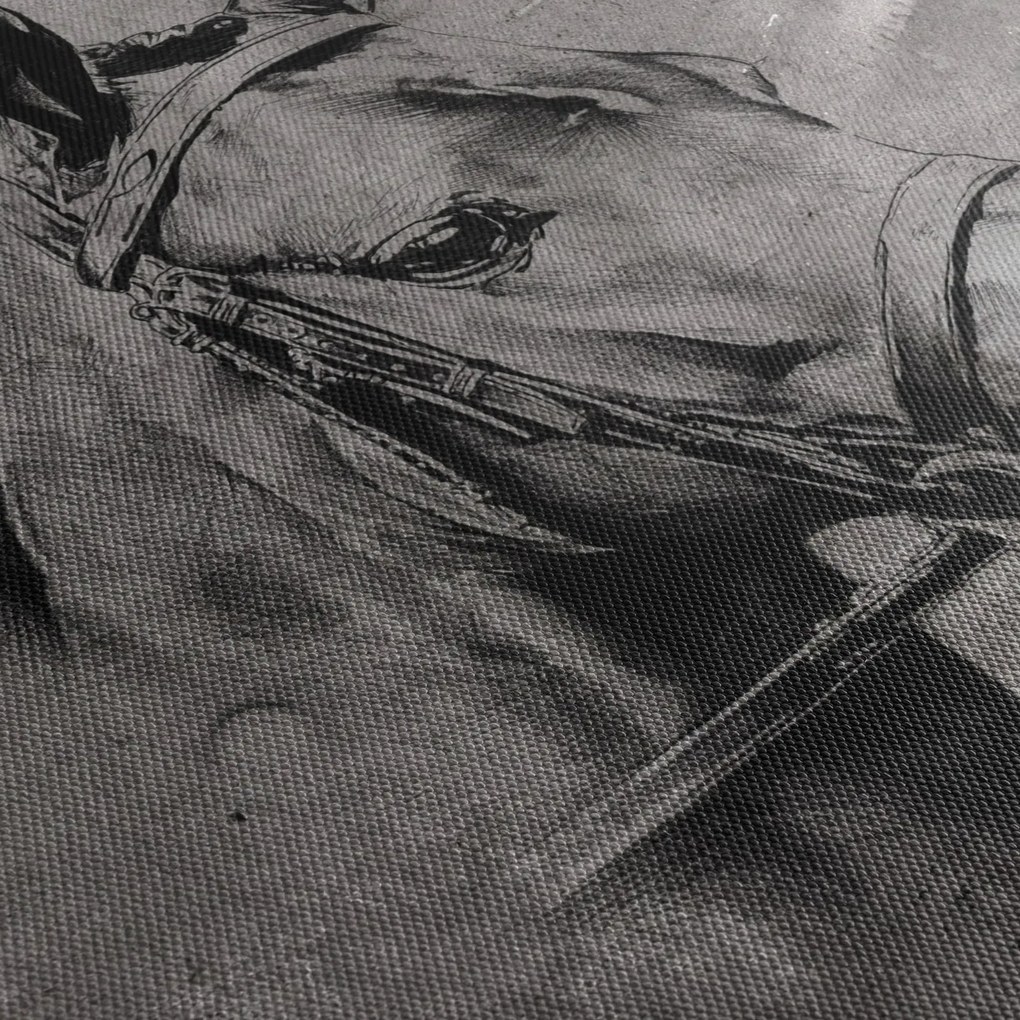 Tablou - Portret de cal (90x60 cm)