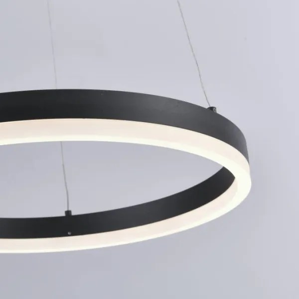 Lustră LED pe cablu dimabilă TITUS LED/28W/230V Paul Neuhaus 2381-13