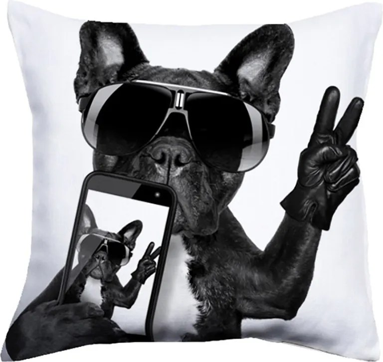 Perna moderna Cool Dog 40x40