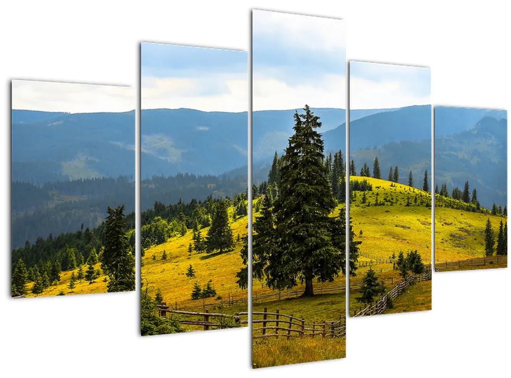 Tablou - Lunca de munte (150x105 cm)