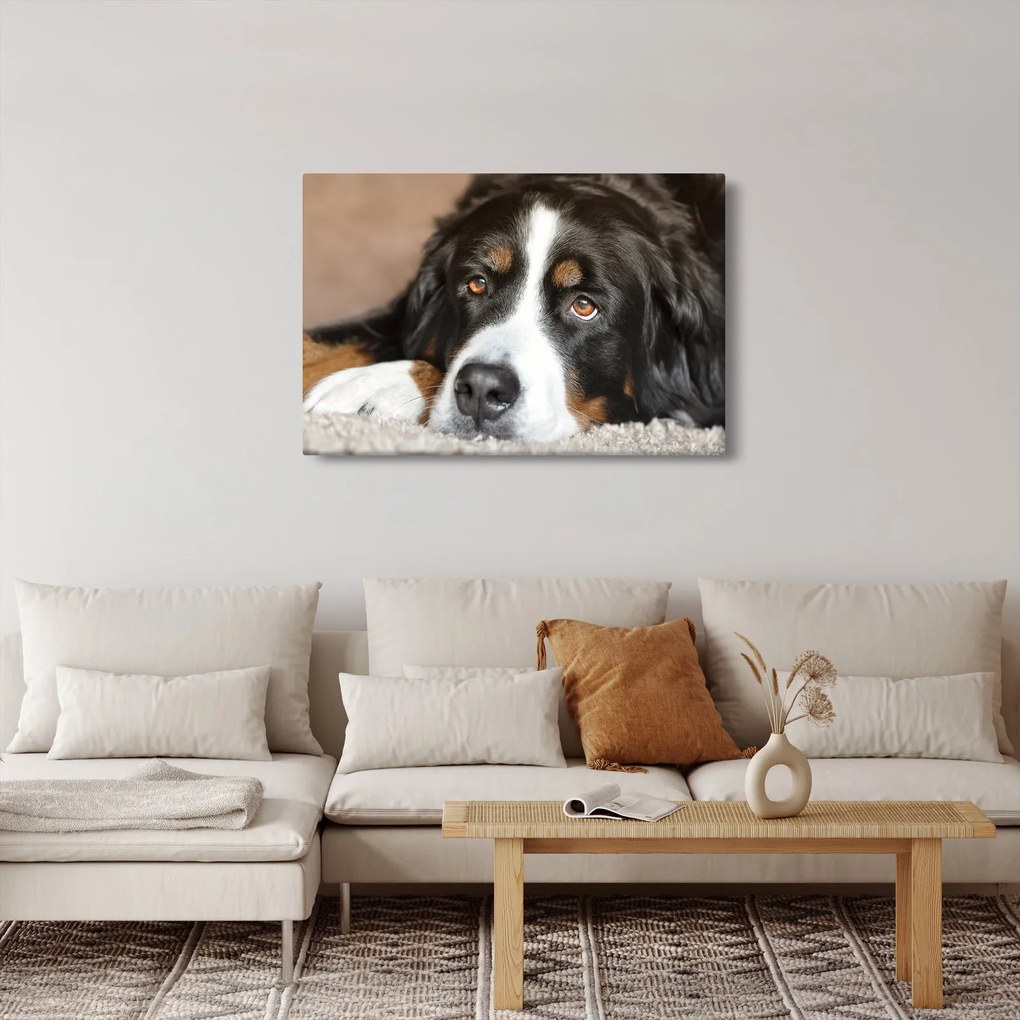 Tablou cu câine (90x60 cm)