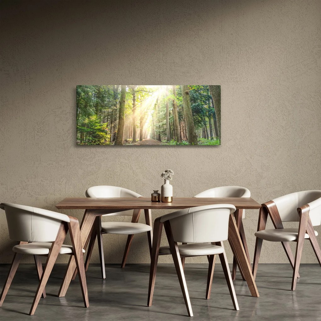 Tablou - Poteci în pădure (120x50 cm)