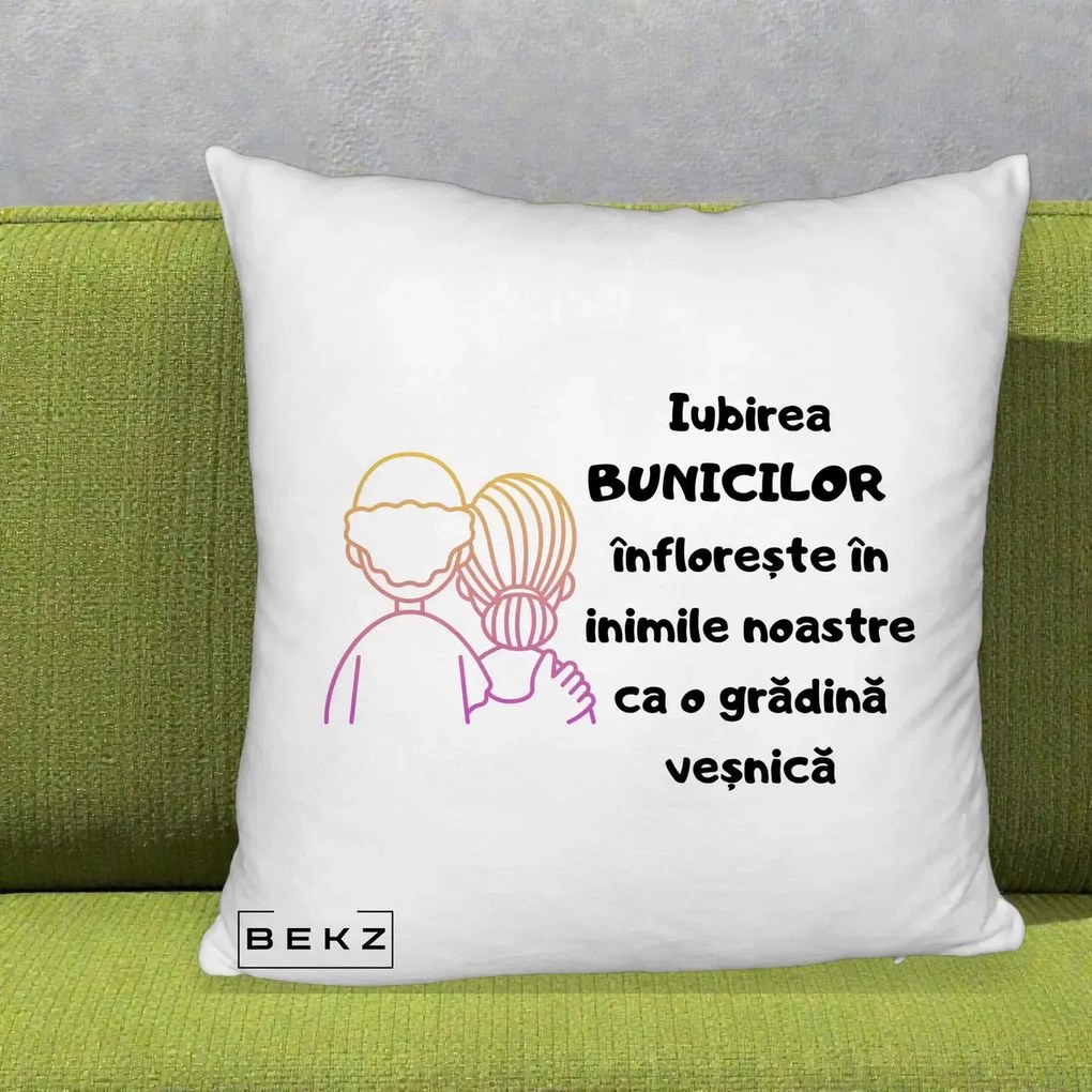 Cadou pentru Bunici - Perna Personalizata Iubirea Bunicilor Infloreste Cuplu Line Art Gradient, 40x40 cm, Alb Pufos, Husa Detasabila, Perna Inclusa, BEKZ®