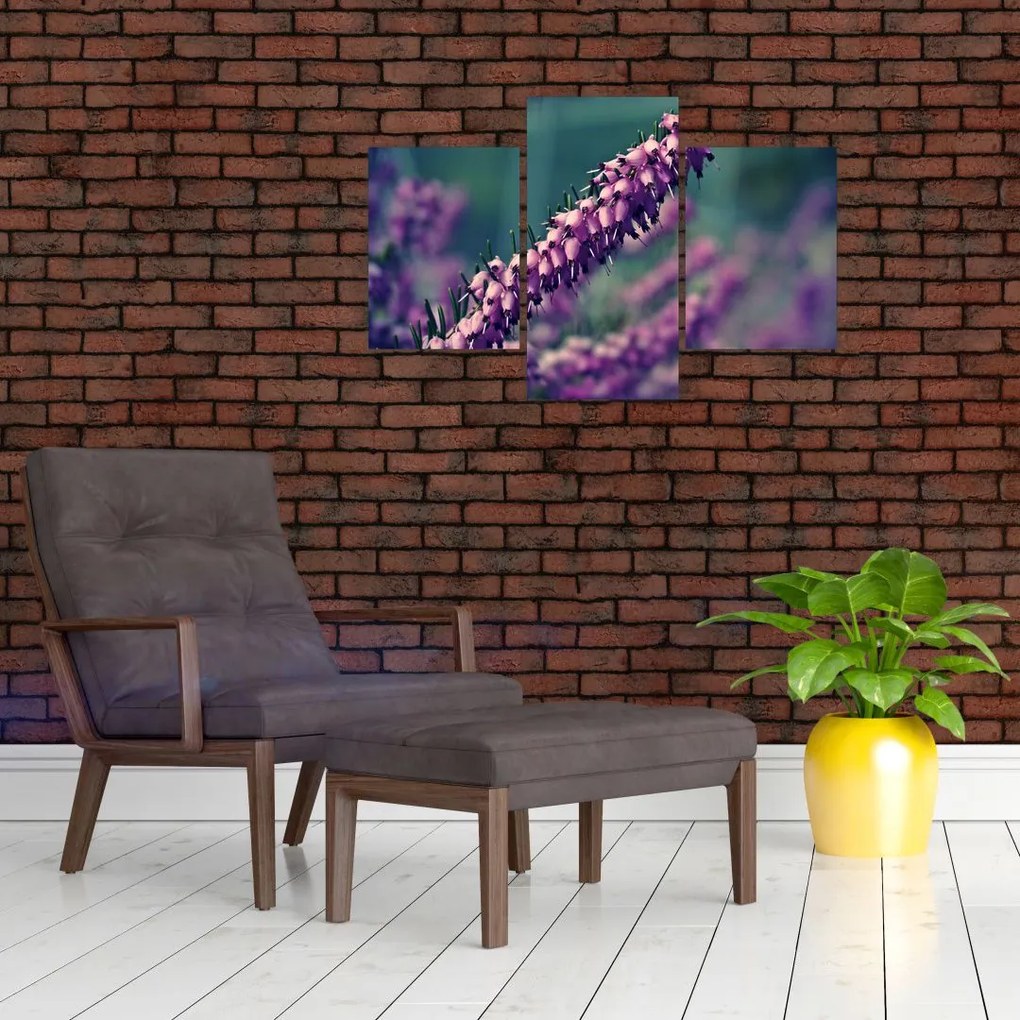 Tablou cu floare violetă (90x60 cm)