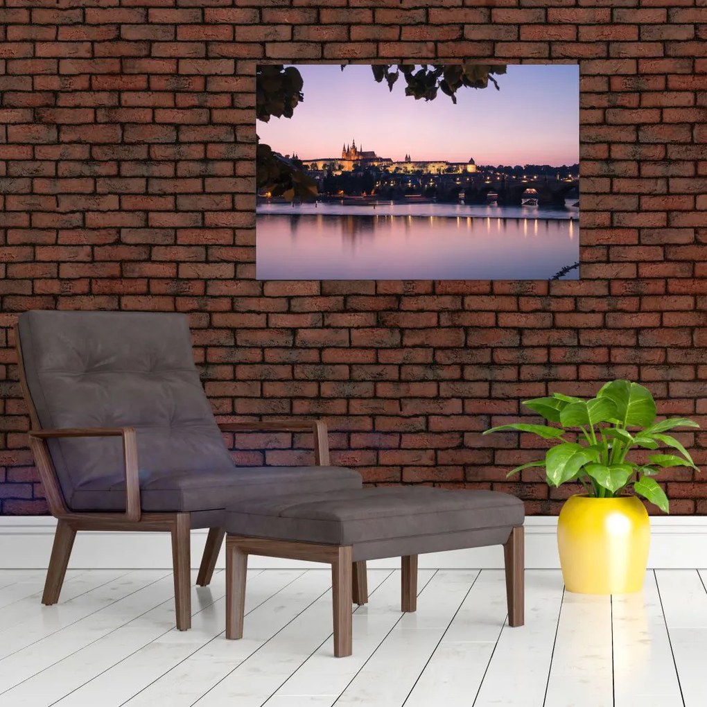 Tablou cu palatul din Praga și Vltava (90x60 cm)