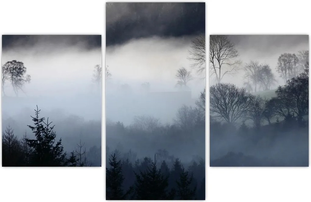 Tablou cu ceță deasupra pădurii (90x60 cm)