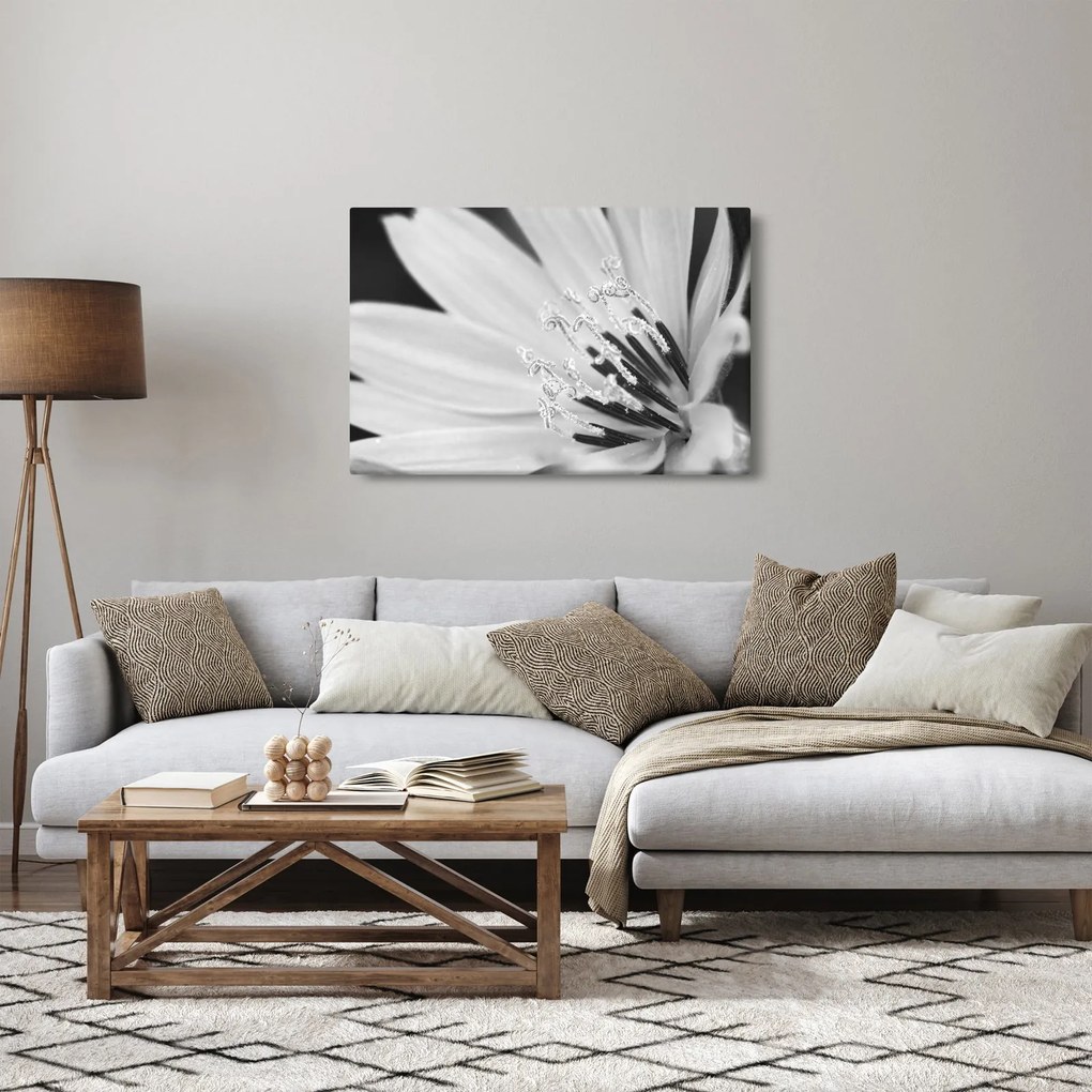 Tablou - Floare albă și neagră (90x60 cm)