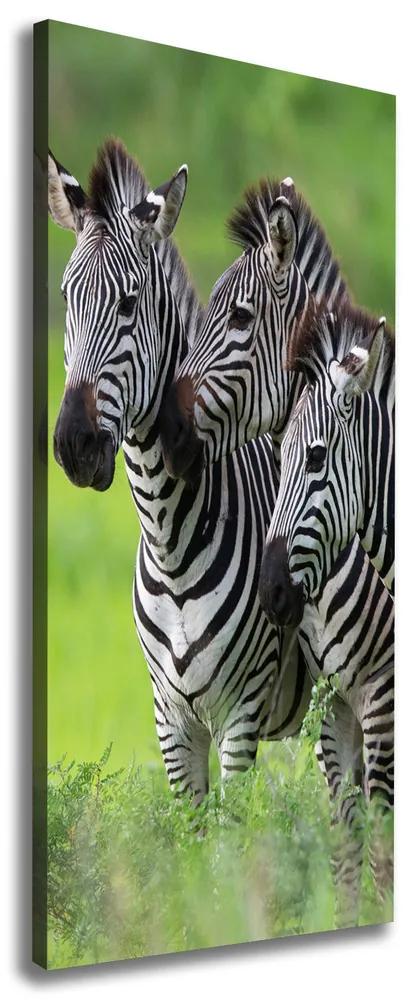 Imprimare tablou canvas Trei zebre