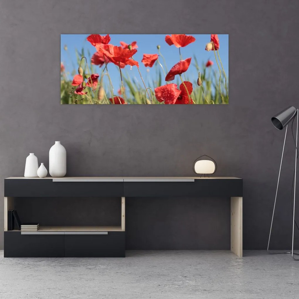 Tablou - Maci (120x50 cm)