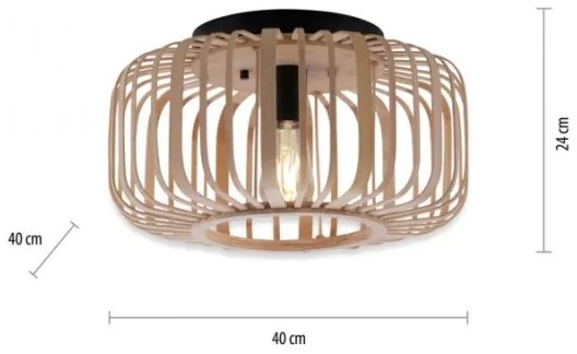 Lustră aplicată RACOON 1xE27/40W/230V d. 40 cm Leuchten Direkt 11412-79