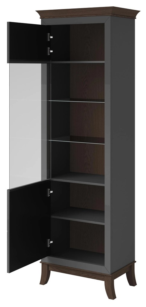 Vitrină Tyrion Typ 05 (antracit lucios + ciocolățiu) (cu iluminat). 1108296
