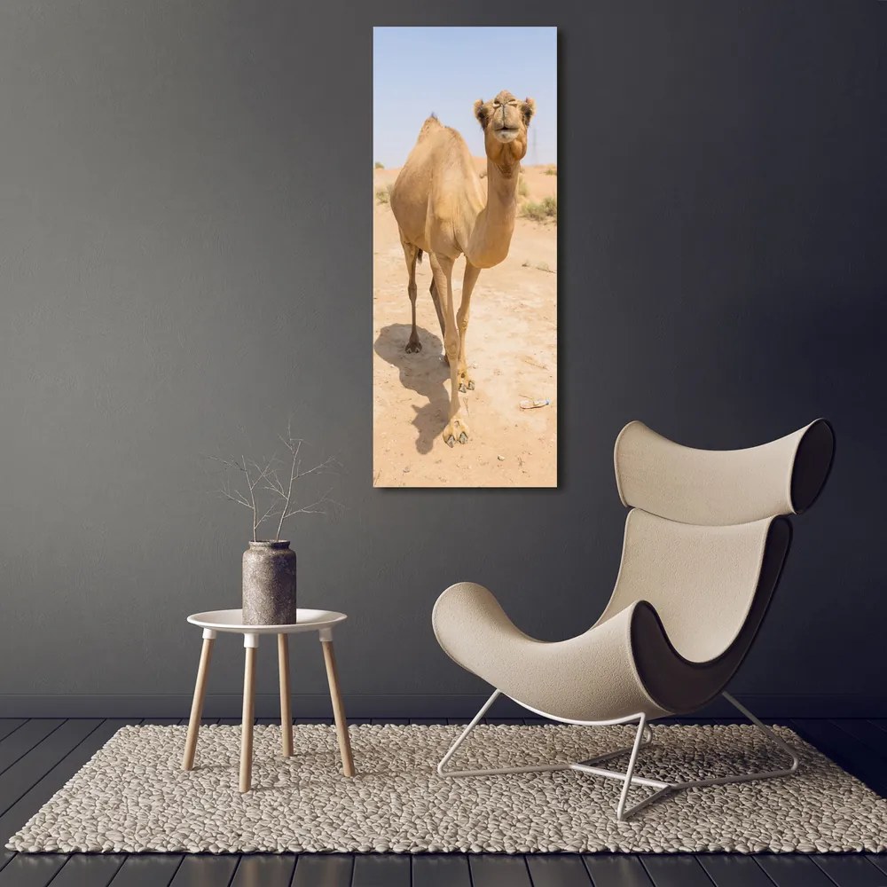 Tablou sticlă acrilică Camel în deșert