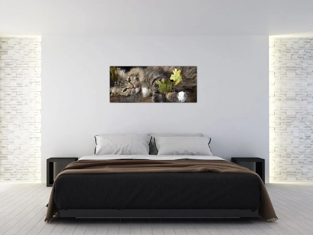 Tablou - Pisica mincinoasă (120x50 cm)