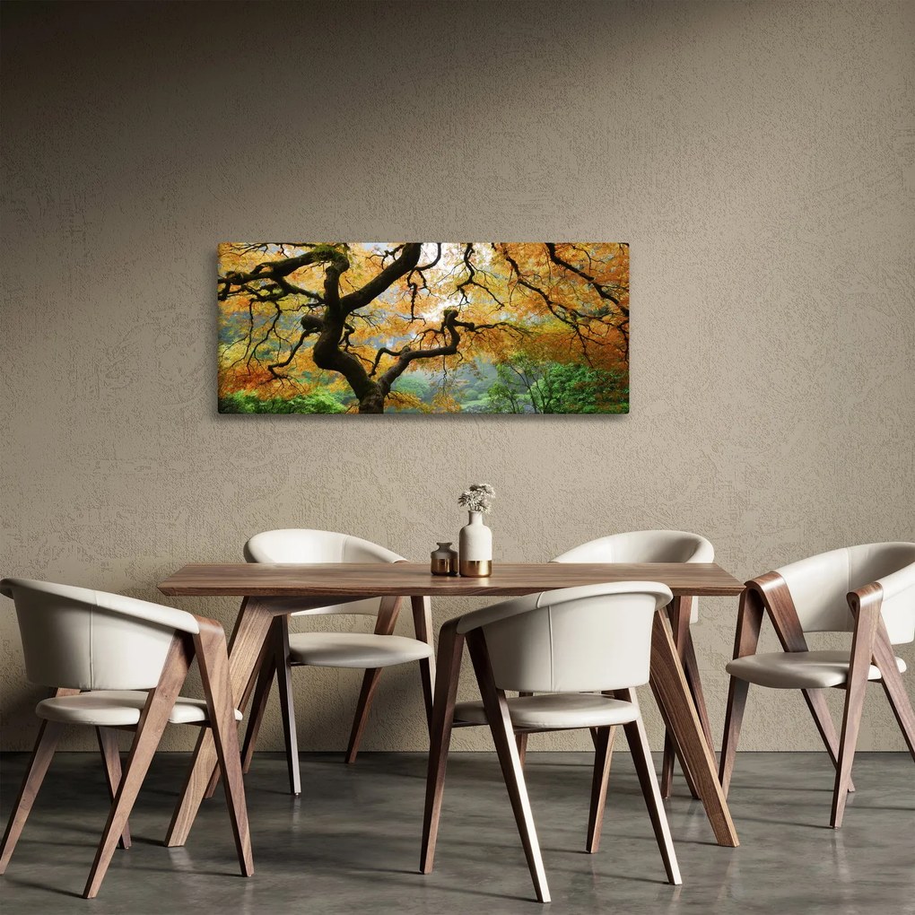 Tablou - Arțarul japonez galben, Portland, Oregon (120x50 cm)