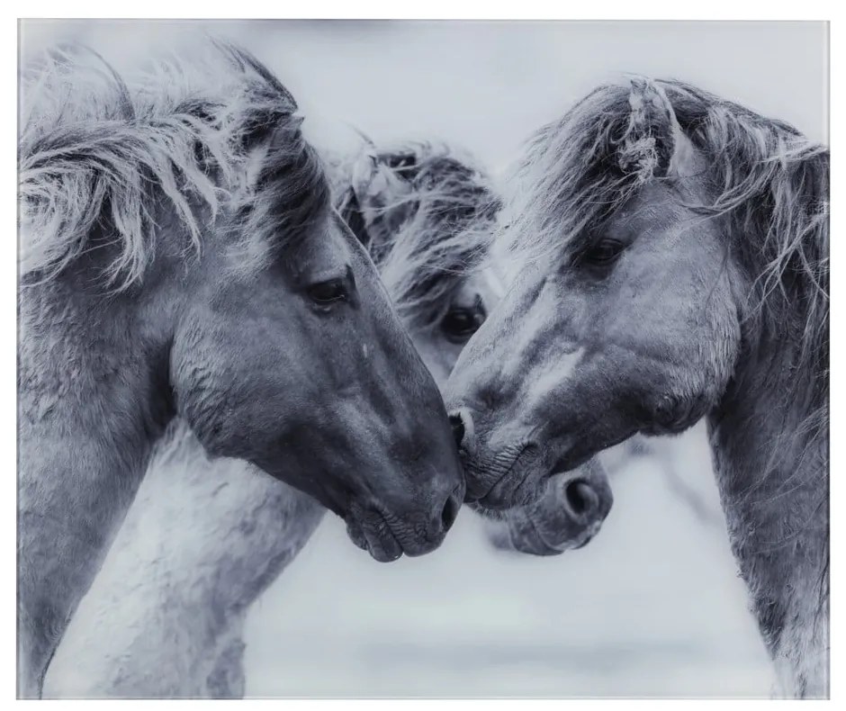 Protecție din sticlă pentru peretele de lângă aragaz Wenko Horses, 60 x 50 cm