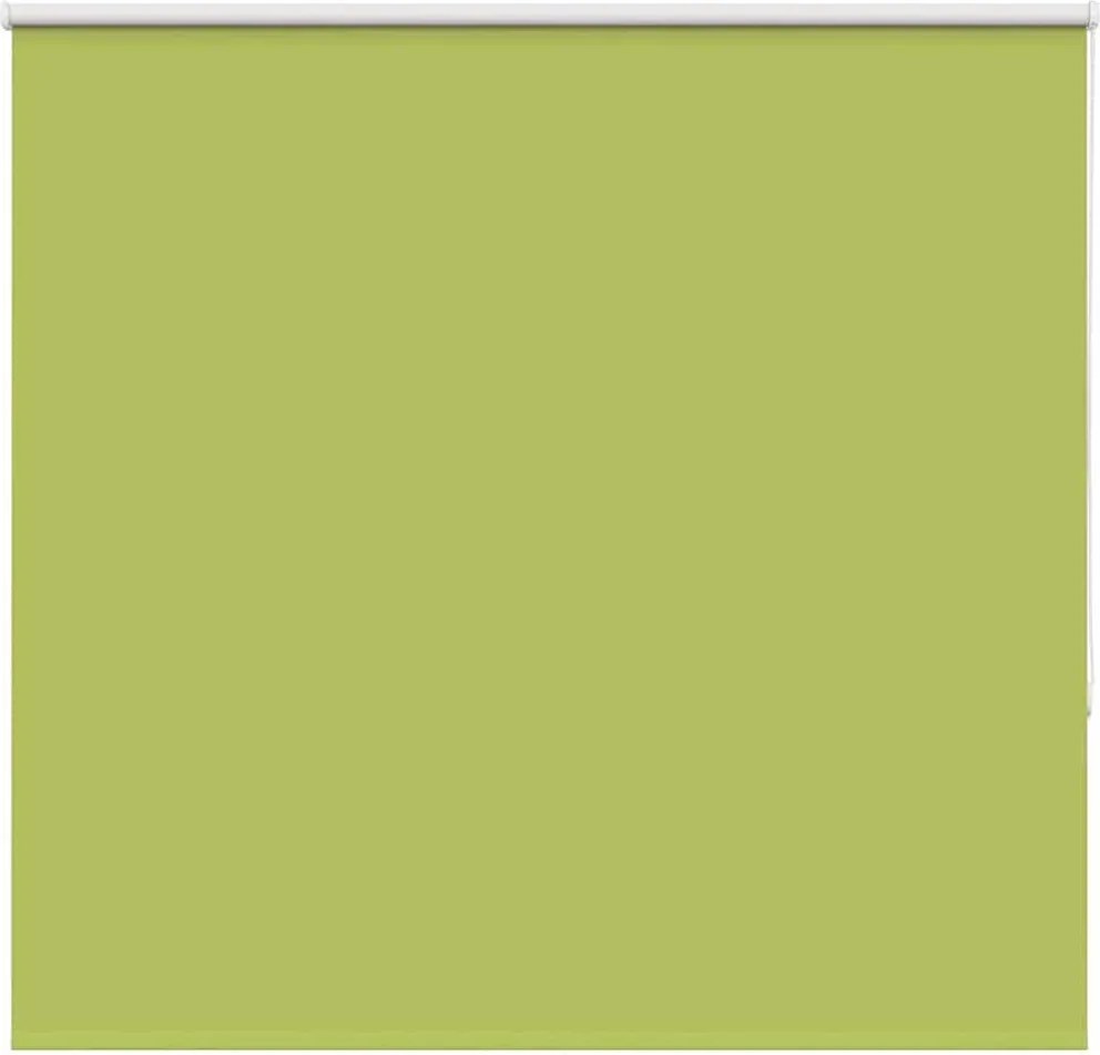 vidaXL Jaluzea cu role opace 165x175 cm Lățime material 161,6 cm
