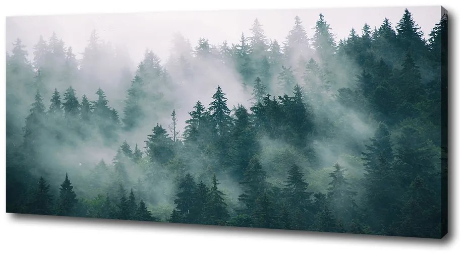Tablou canvas Ceață peste pădure