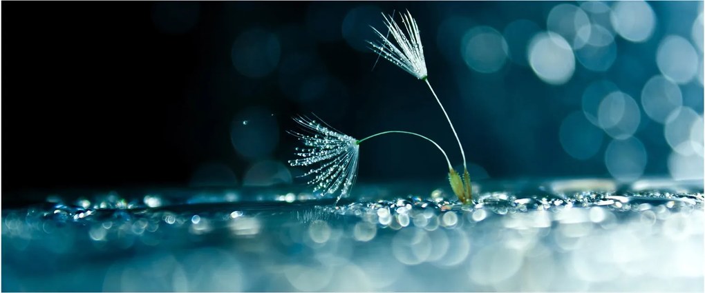 Tablou - Macro (120x50 cm)