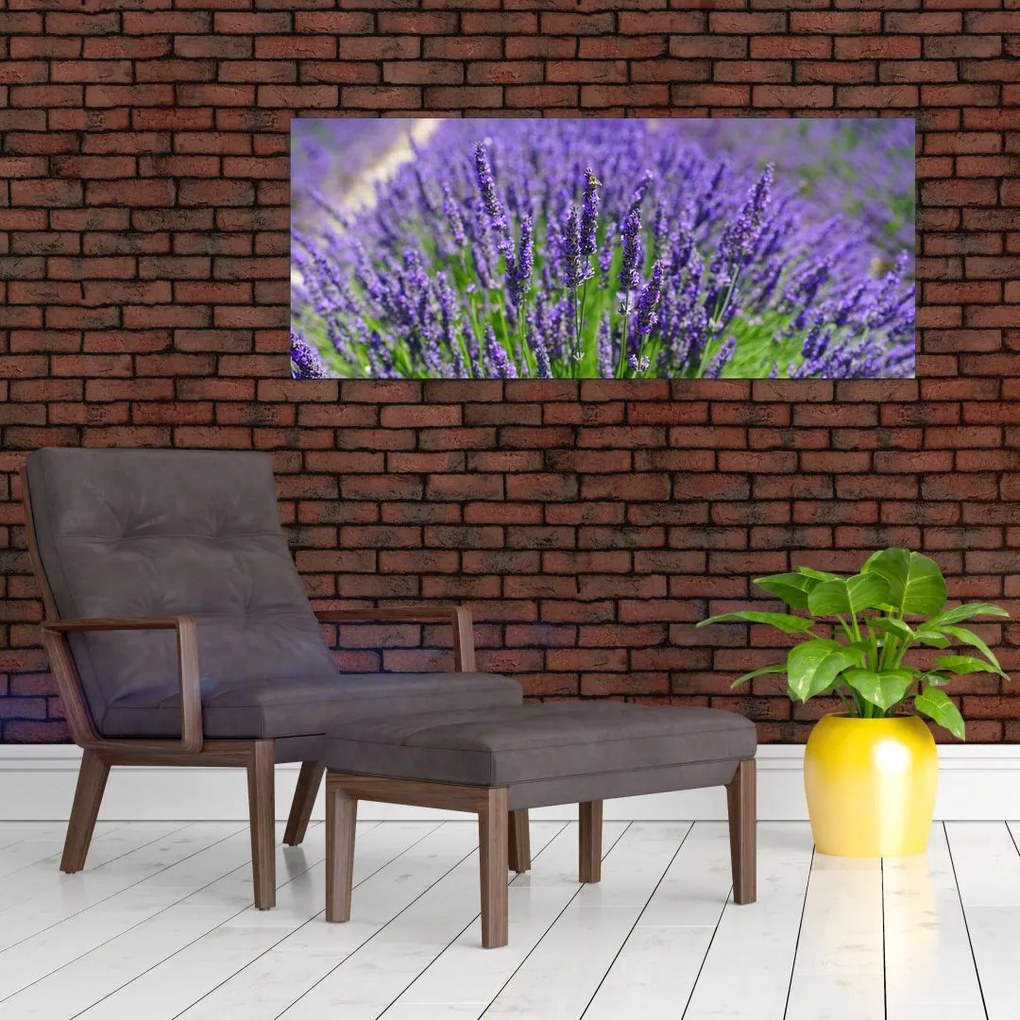 Tablou - lavanda (120x50 cm)
