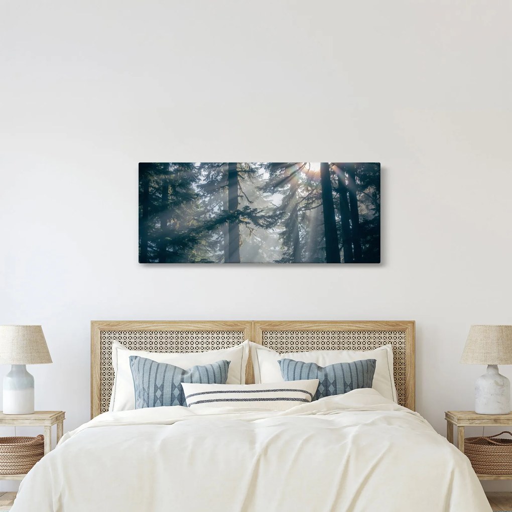 Tablou cu copaci și soarele translucind (120x50 cm)