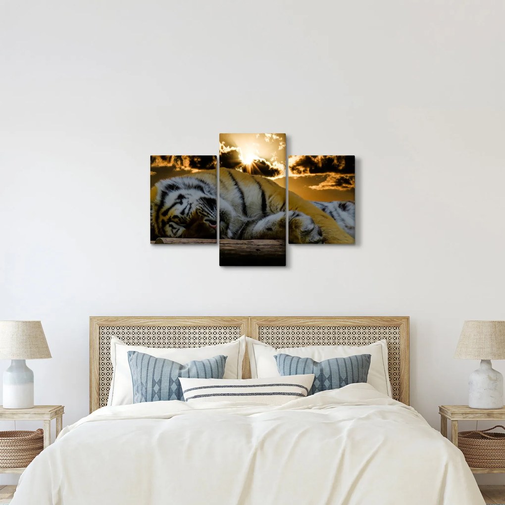 Tablou tigrul dormind (90x60 cm)