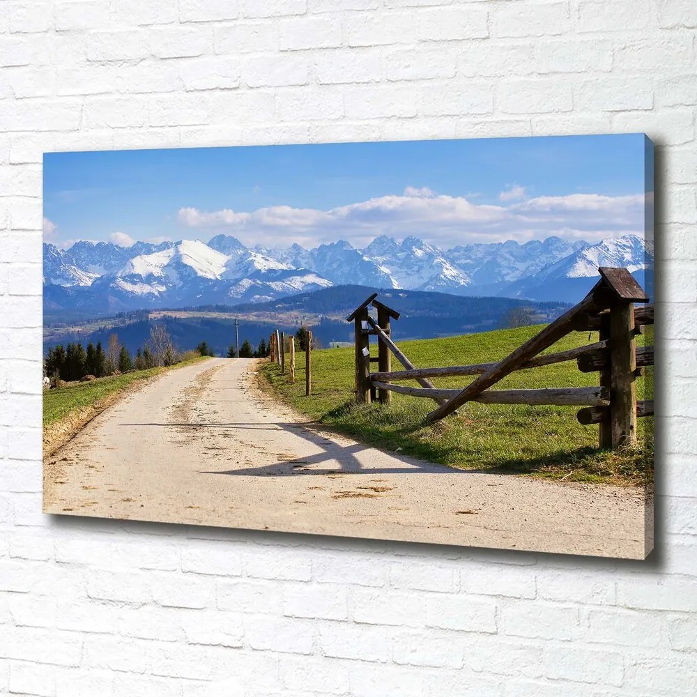 Print pe pânză Panorama tatra
