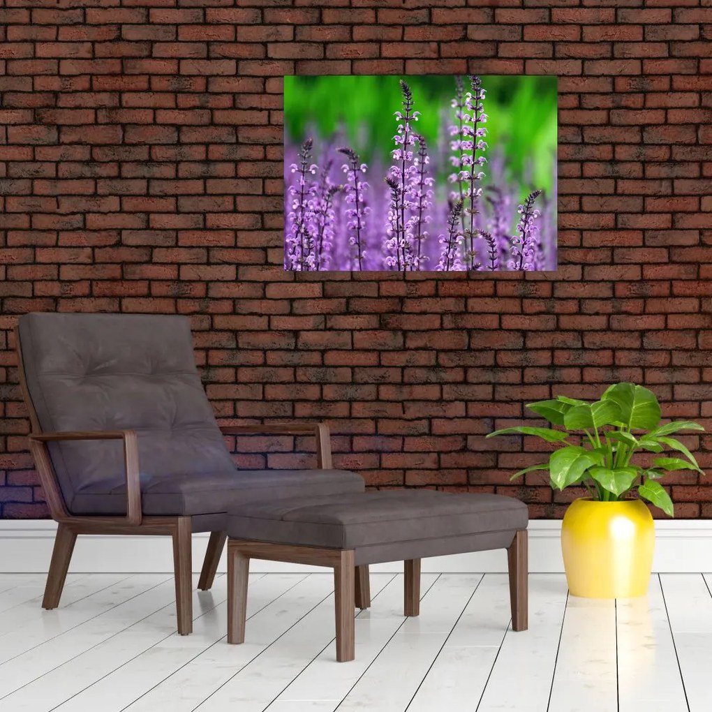 Tablou pe sticlă cu flori de luncă violete (70x50 cm)