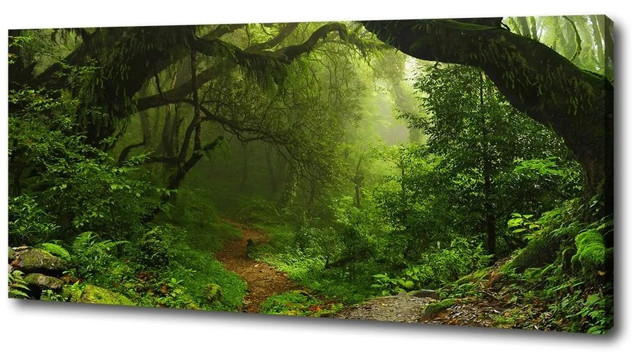Tablouri tipărite pe pânză Jungle în nepal