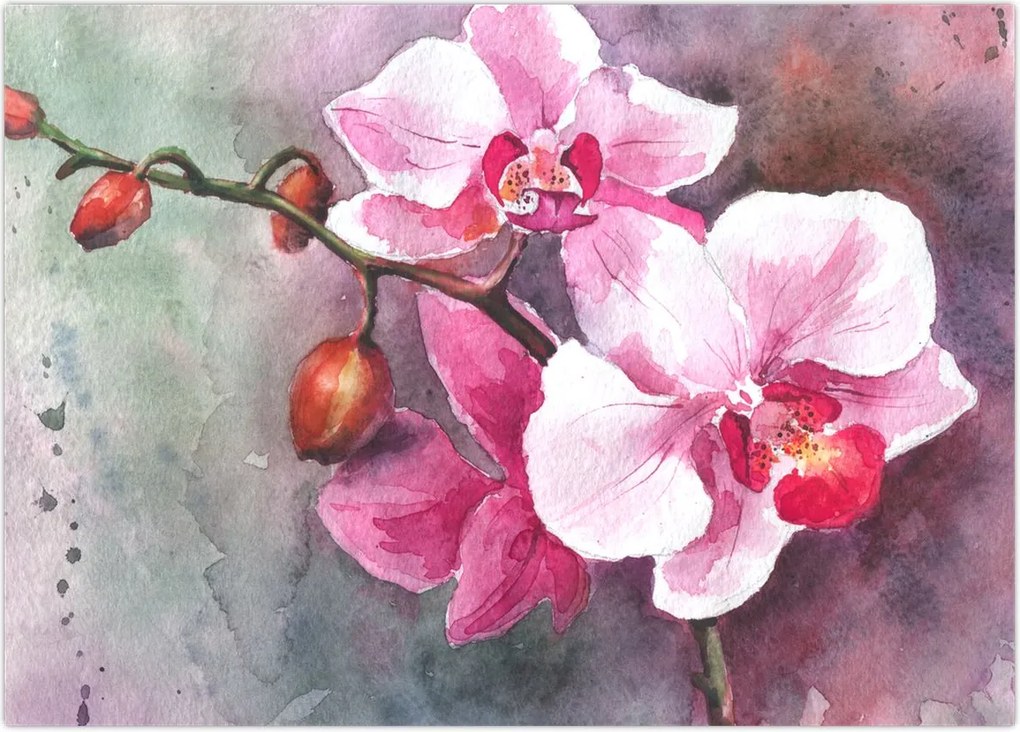 Tablou - Orhidee, acvariu (70x50 cm)