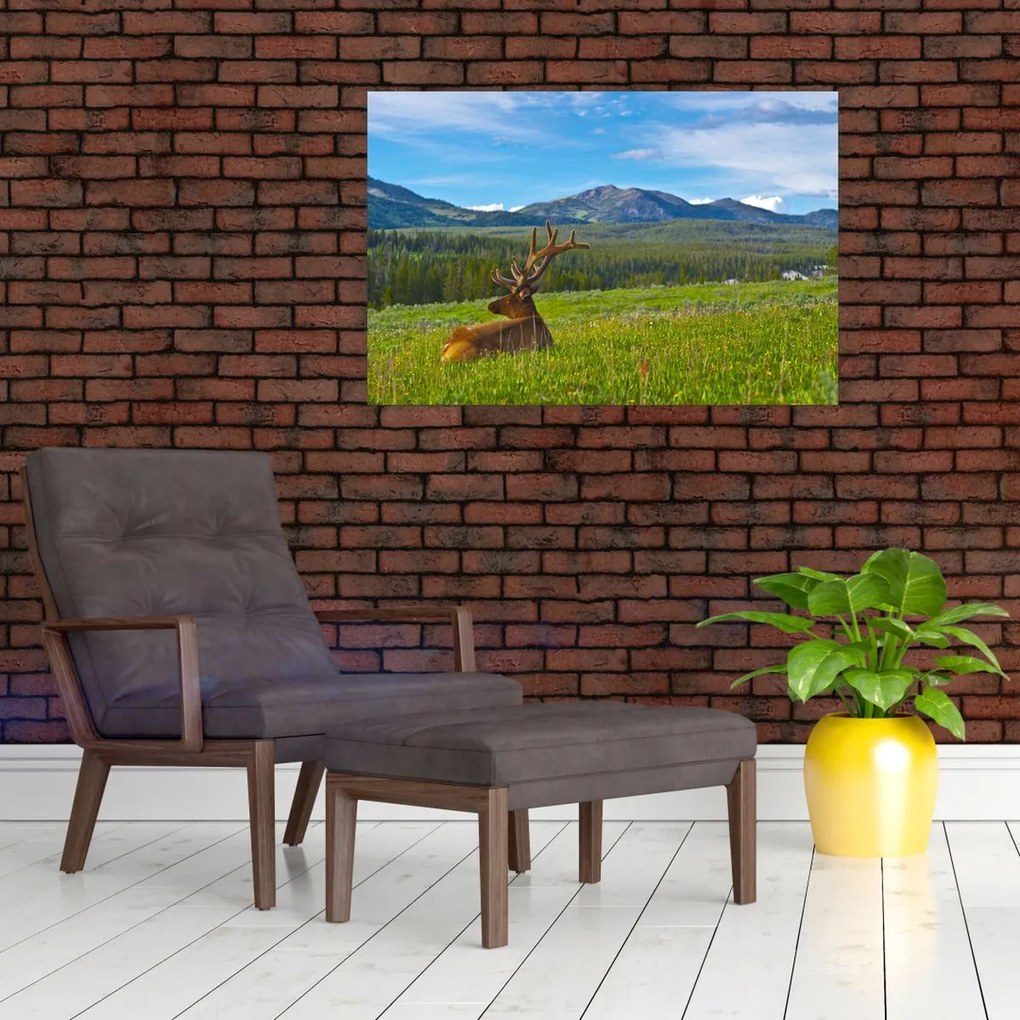 Tablou - Cerb în luncă (90x60 cm)