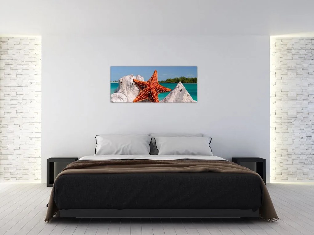 Tablou cu stea de mare (120x50 cm)