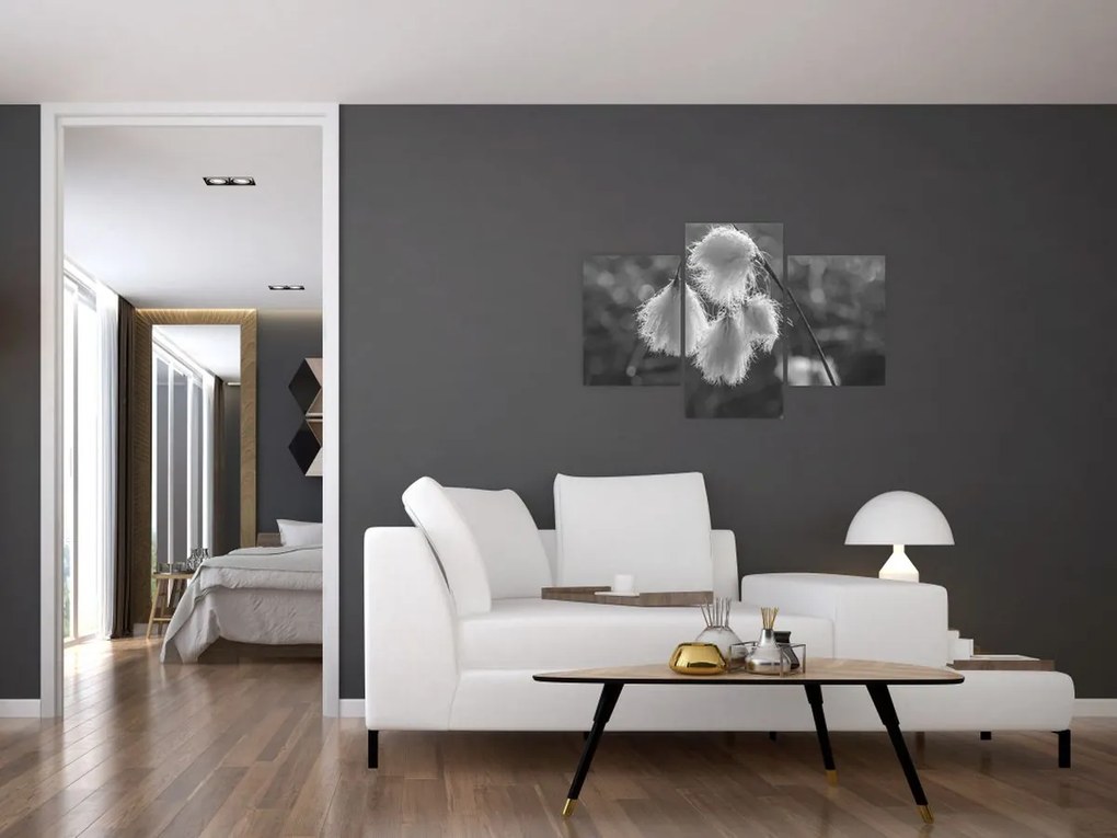 Tablou - Iarba de bumbac (90x60 cm)