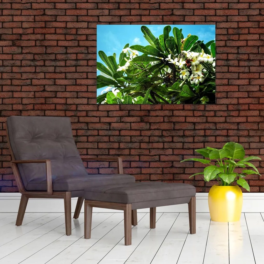 Tablou - Plumeria (90x60 cm)