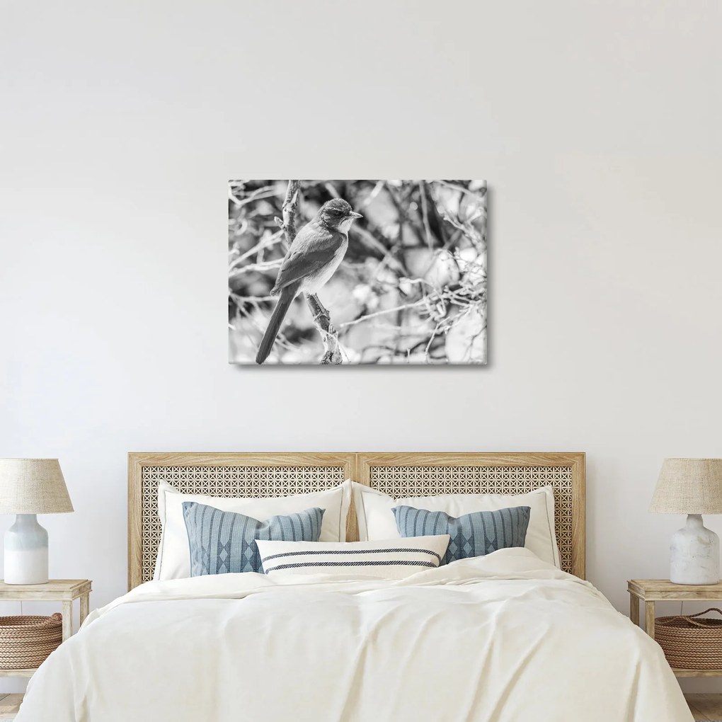 Tablou - Bluebird în timpul iernii (70x50 cm)