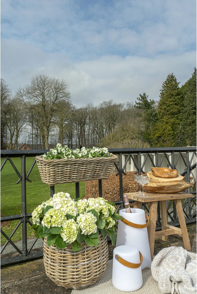 Frigider de vinuri Bminora 2 (alb). Promo -9%. 1146680